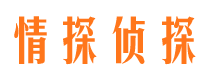 衡东外遇调查取证